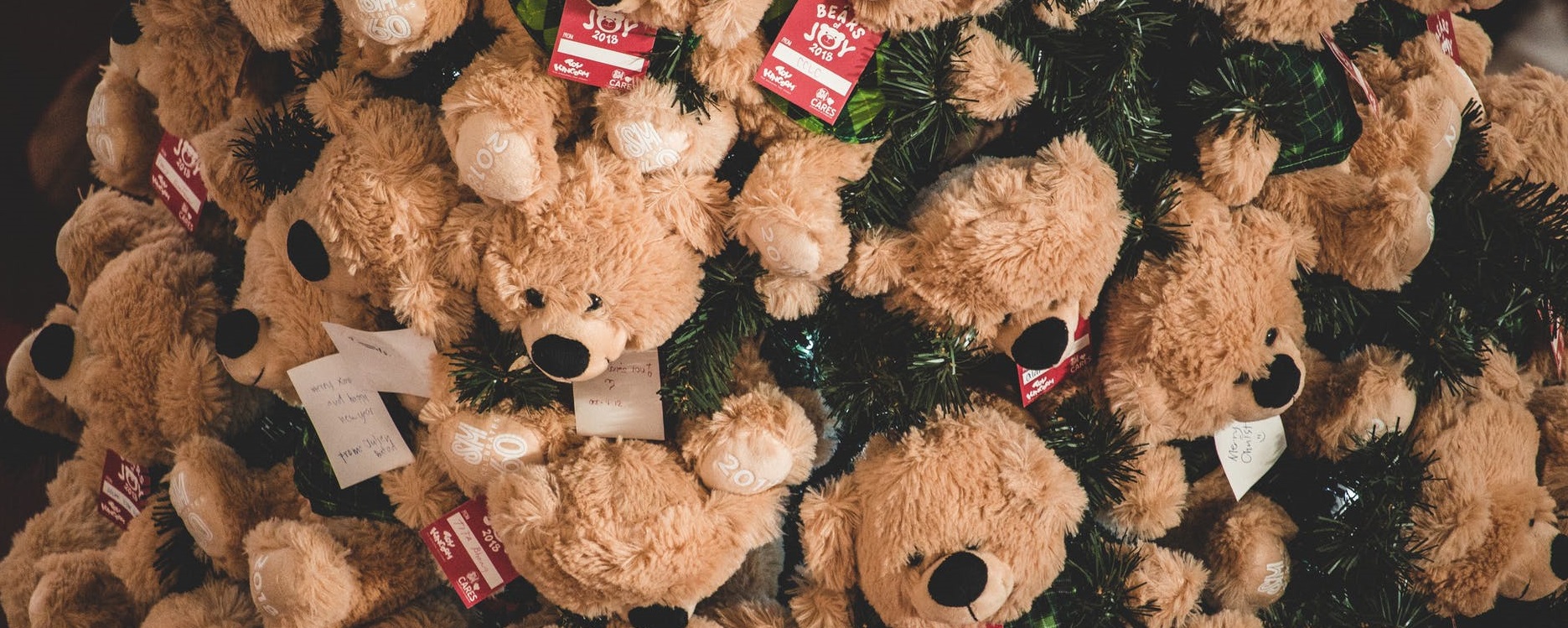 Cubby The Curious Bear