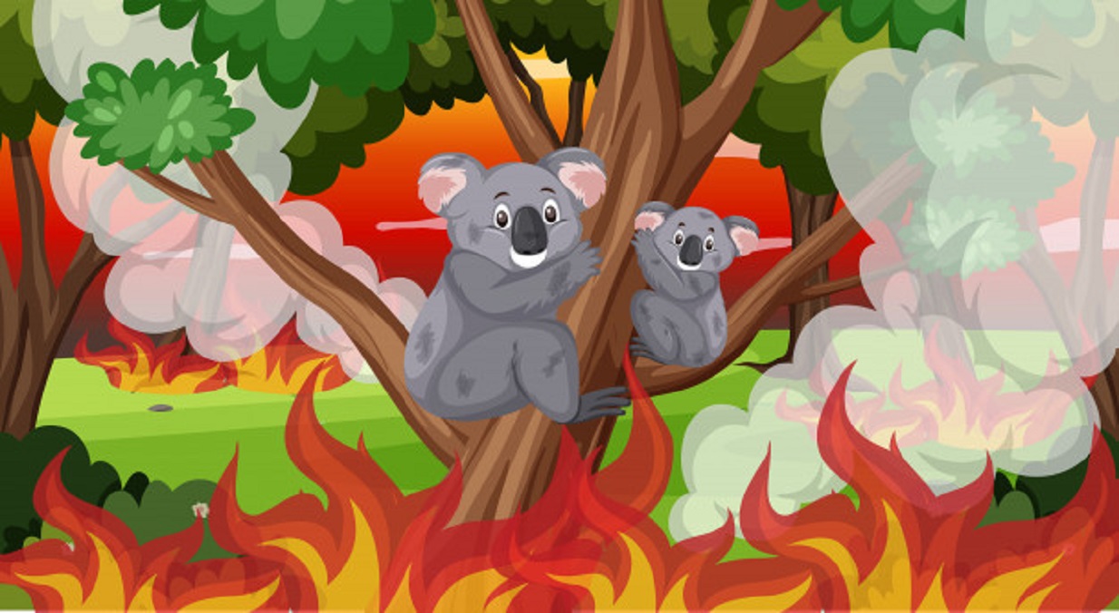 Bushfires Of Australia